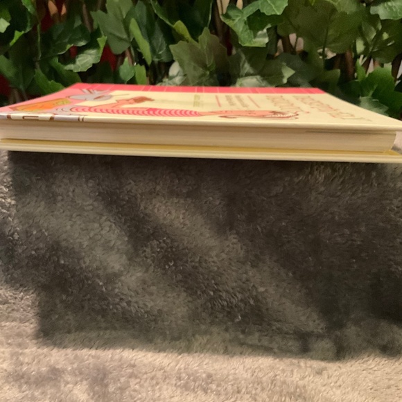 Deceptively Delicious Cook book by Jessica Seinfeld - Picture 4 of 14